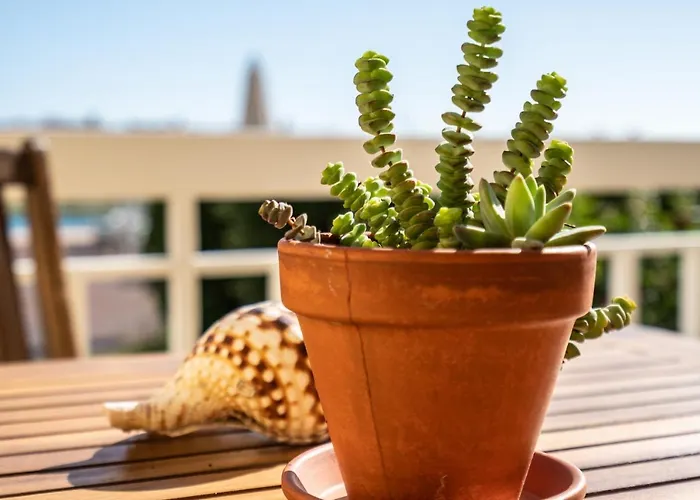 Апартаменты Casa Da